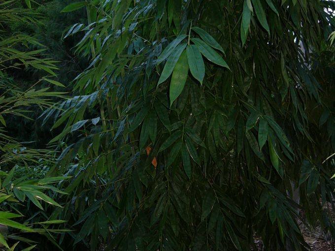 053259ff-0a34-4d30-8755-d8798cff6993