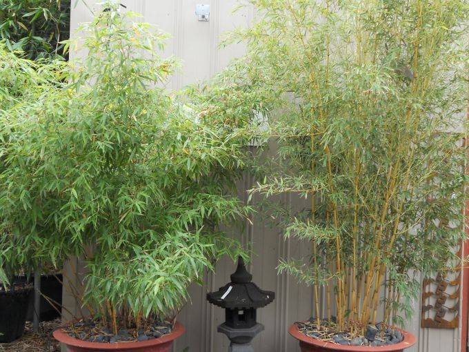 0696d9b6-120f-4349-bbd6-492104b1964d