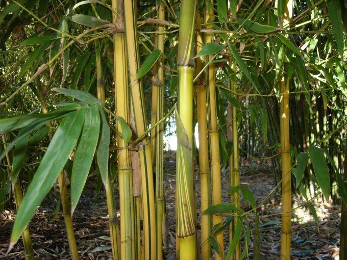 3b8a3c0a-a88e-4da1-f710-69d421dcae07-1