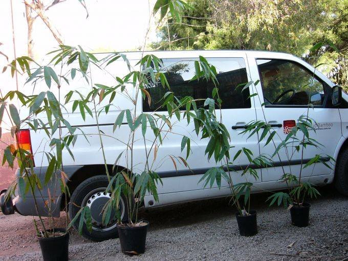 57bcccc6-2871-410b-de63-c2936751ae2b