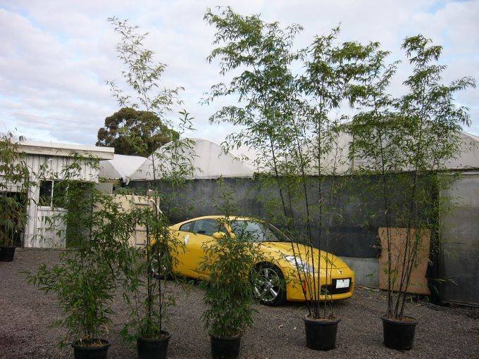 5eb36e17-24e4-4d2e-aef2-76b0f5452e51