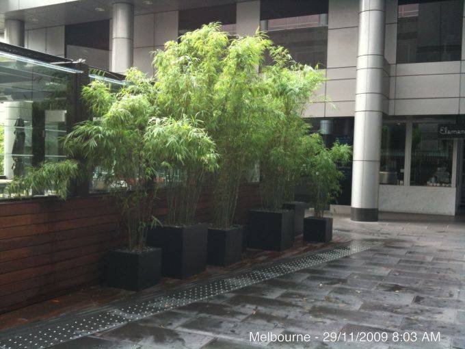 63e3940c-8ea8-47bc-fcbe-5a33698cf3f1