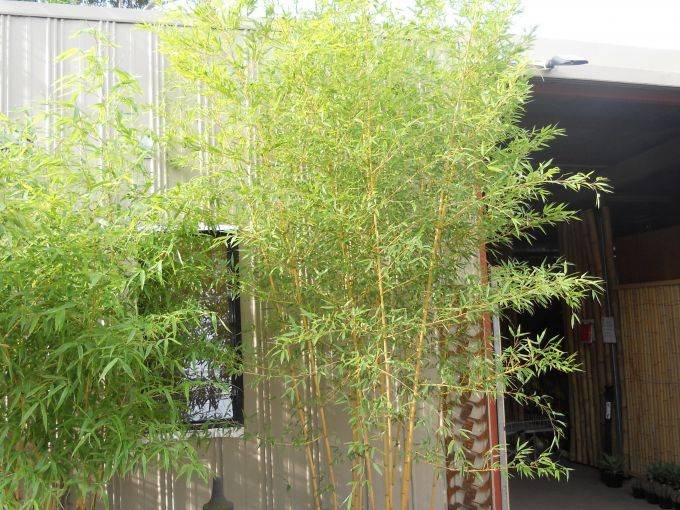 642dd7fe-a2d3-4204-ed95-3139e2df3afe