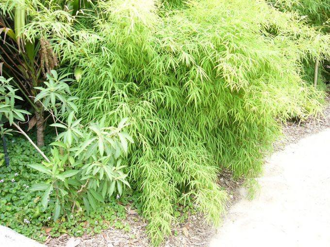 71f9a6c3-2921-434d-b507-4ce08add43cb