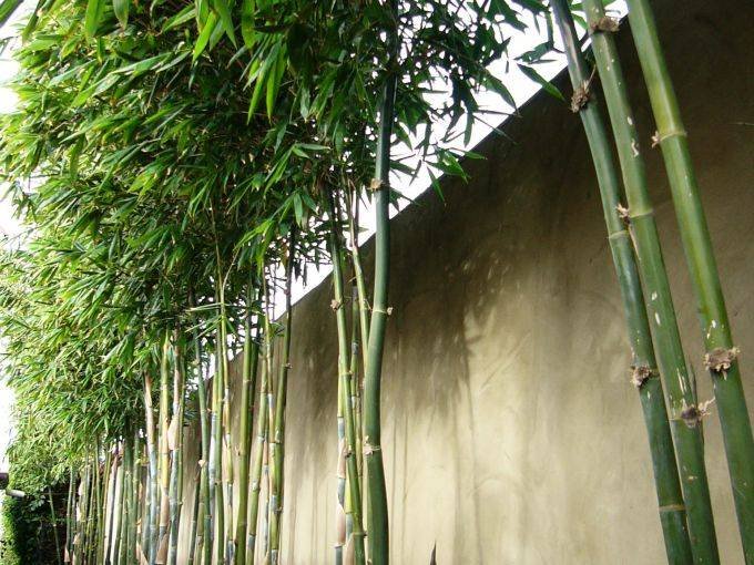 a00aa90d-fc4d-4586-bb10-cb574832fe23