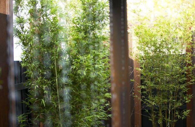 e48e764c-c430-4d80-e5b3-20d4011bd9a6