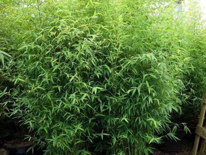 e7422751-7d20-4c71-e10d-eceb44b78c01